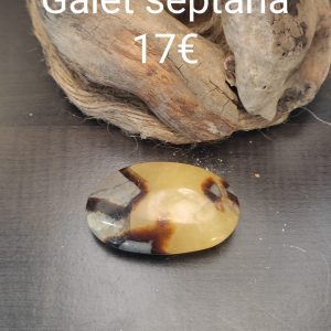 Galet septaria Galet septaria