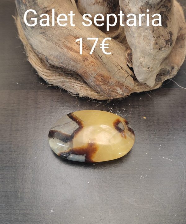 Galet septaria