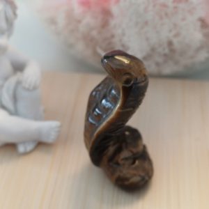 Cobra Œil de tigre