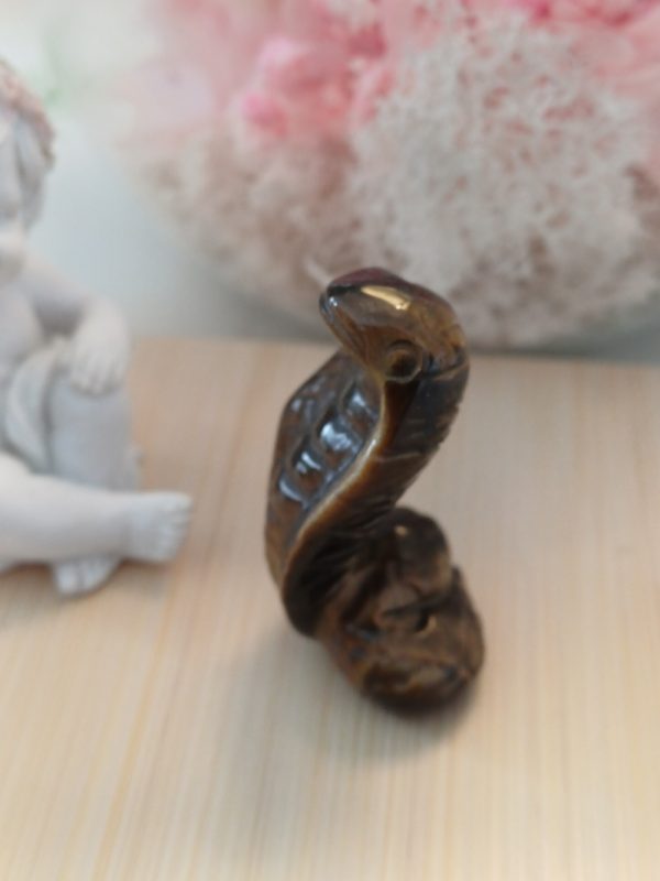 Cobra Œil de tigre